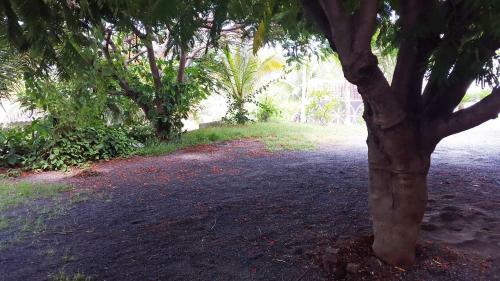 Apartamento Vistas De San Blas