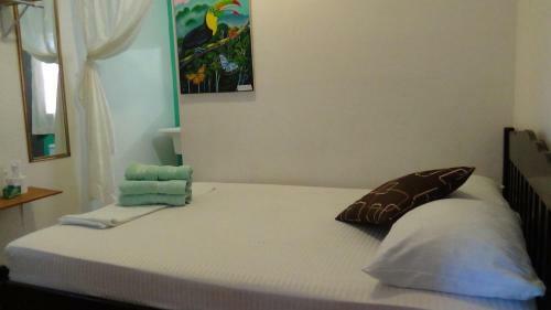 Hostal Hacienda Tropical Guest House