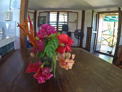 Apartamento Colibri House