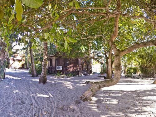 Apartamento Colibri House