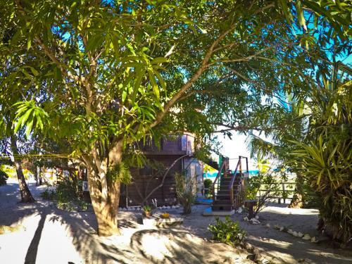 Apartamento Colibri House