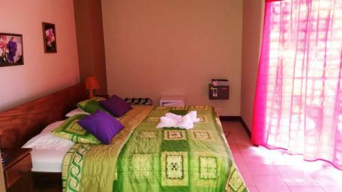 Mar Y Selva Ecolodge
