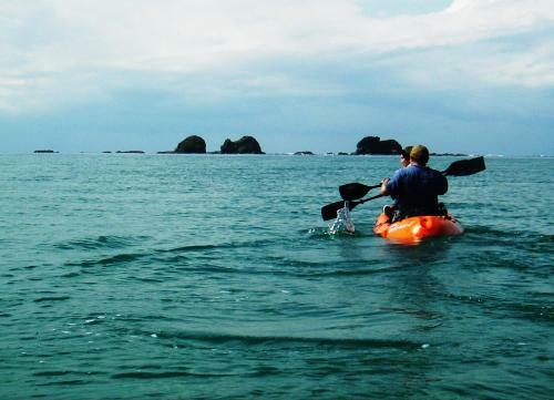 Mar Y Selva Ecolodge
