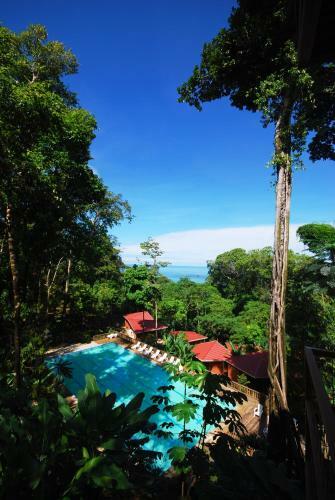 Mar Y Selva Ecolodge