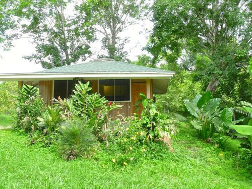 Bed & Breakfast Finca Cantarana