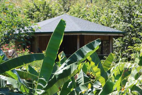 Bed & Breakfast Finca Cantarana