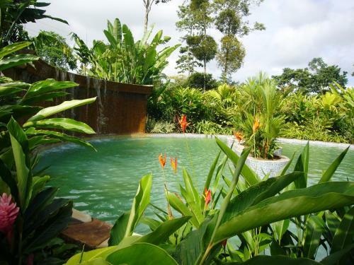 Blue River Resort & Hot Springs