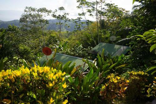 Lodge Mirador Osa