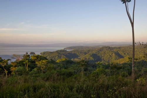 Lodge Mirador Osa