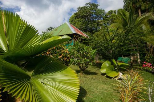Lodge Mirador Osa