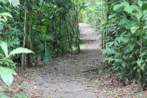 Danta Corcovado Lodge