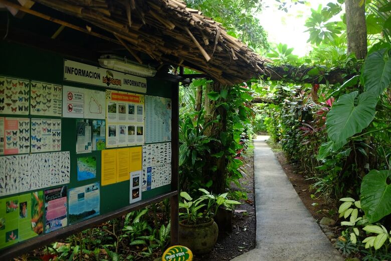 Hotel La Palapa Eco Lodge Resort