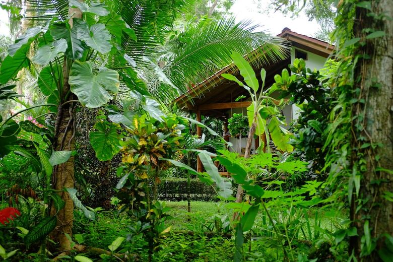 Hotel La Palapa Eco Lodge Resort