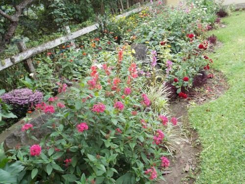 Bed & Breakfast Hotel Las Orquideas