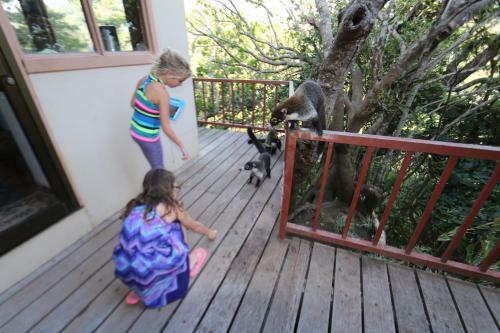 Bed & Breakfast Hotel Las Orquideas