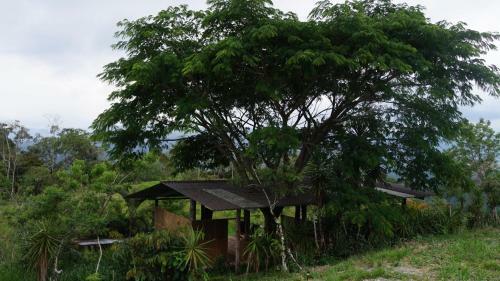 Finca Monte Claro