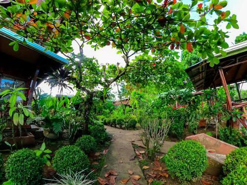 Las Cotingas Lodge