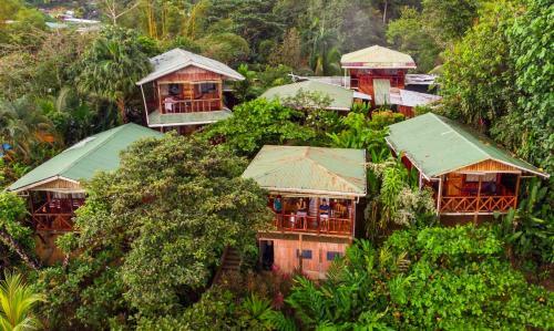 Las Cotingas Lodge
