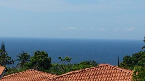 Apartamento Carpediem Montezuma House