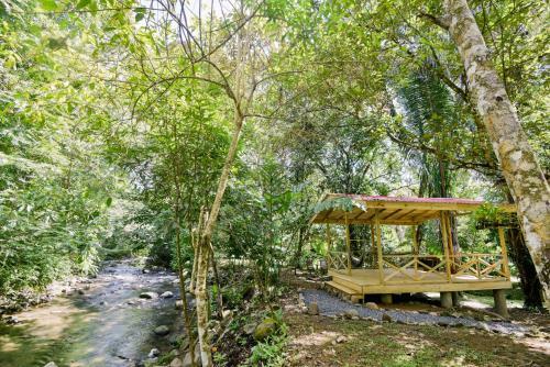Bed & Breakfast Hotel El Mono Feliz