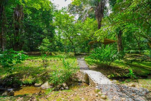 Bed & Breakfast Hotel El Mono Feliz