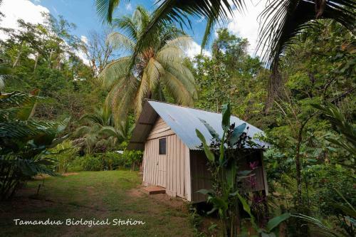 Lodge Estaci�n Biol�gica Tamandua