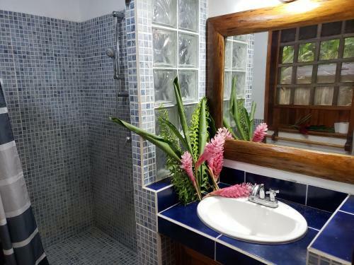 Lodge Bungalow Mal�