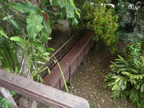 Topos Tree House
