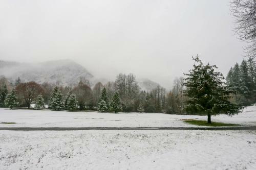 Misty Ridges