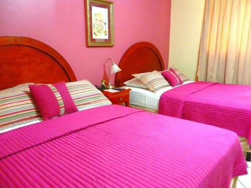 Hotel Hostal Green Frog