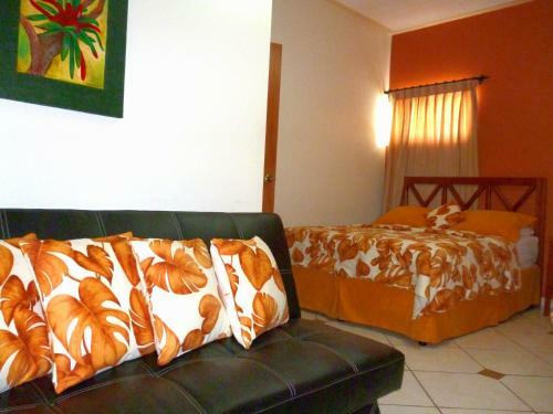 Hotel Hostal Green Frog