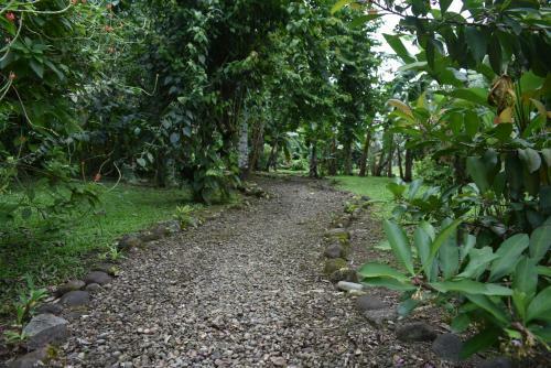 Hotel Roca Negra Del Arenal