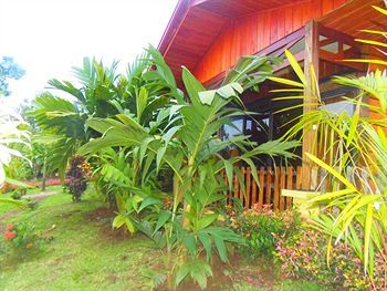Hotel Heliconias