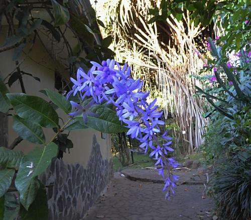 Bed & Breakfast Pura Vida Hotel