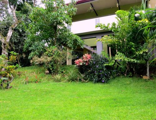 Bed & Breakfast Pura Vida Hotel
