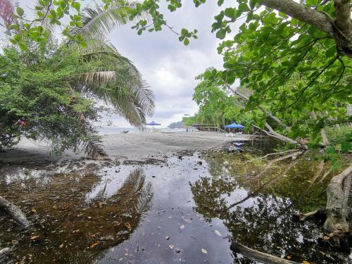 Jungle Beach Hotel
