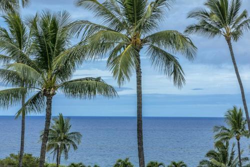 Apartamento Kihei Akahi Resort - Unit C505