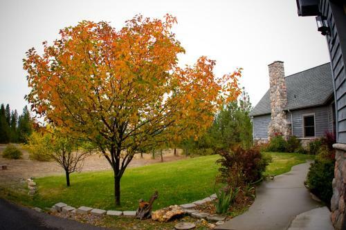 Idahome Bed And Breakfast