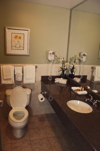 Posada Belvedere Inn