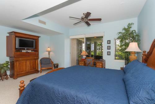 Vista Waikoloa C206
