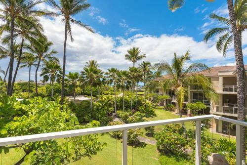 Vista Waikoloa C206