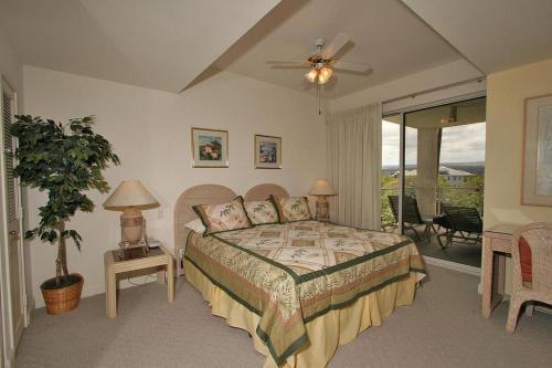 Vista Waikoloa D204