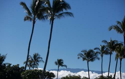 Apartamento Hale 'olu'olu Condo