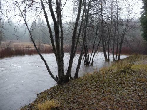Yosemite Lodging At Big Creek Inn B&B