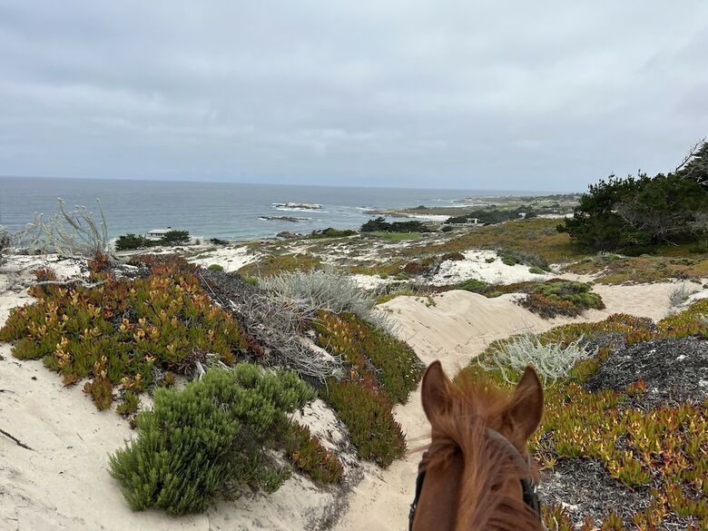 Hotel Howard Johnson Marina At Monterey Bay