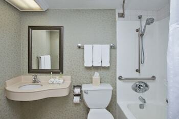 Hotel Holiday Inn Express Exton-lionville