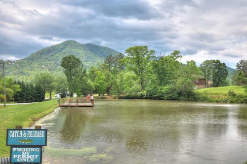 Rocky Top Joy Cabin