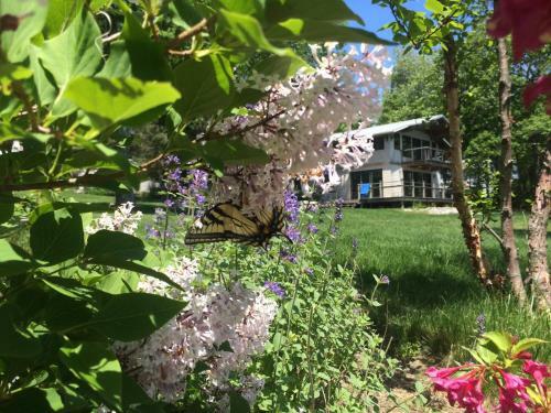Acadia Ocean Front Garden Cottages