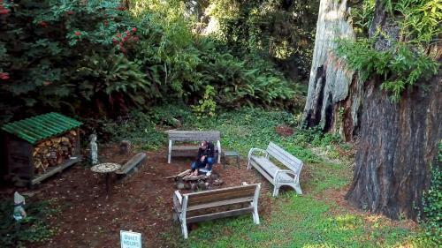 Paloma Creek Lodge