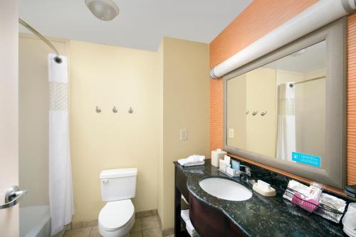 Hotel Hampton Inn Lenoir City